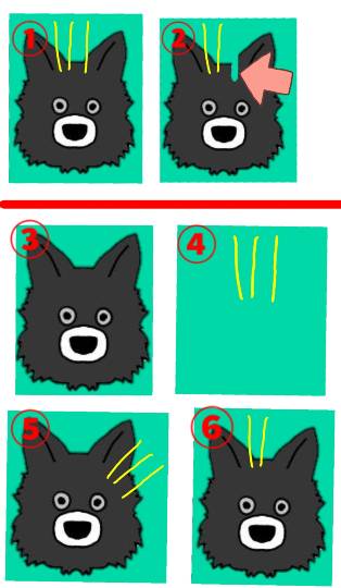 生き物ルーム第13