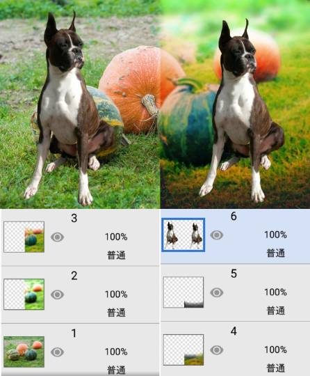 生き物ルーム第13