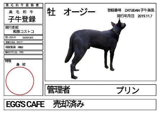 生き物ルーム第13