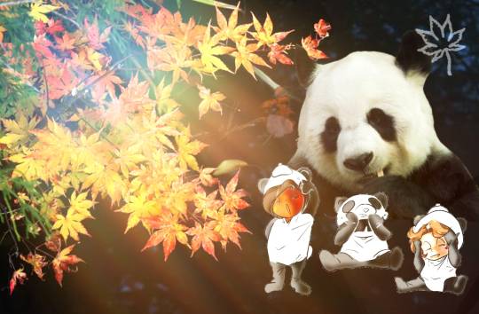 生き物ルーム第13