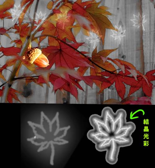 生き物ルーム第13