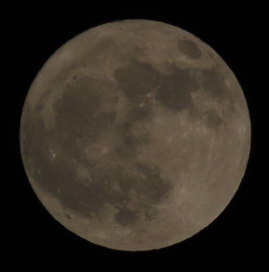 vol.15 愛調(オチョ)南関東(ミナカン)連合 暑くなりましたね~♪