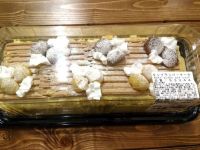 モンブランのケーキありました