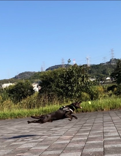 生き物ルーム第13