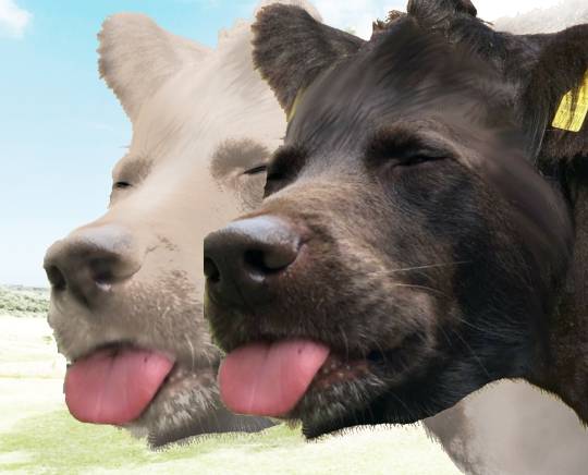 EGG'S CAFE 俺達かわいいコストコ通の寄生卵