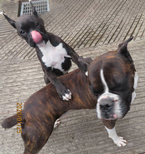 生き物ルーム第14