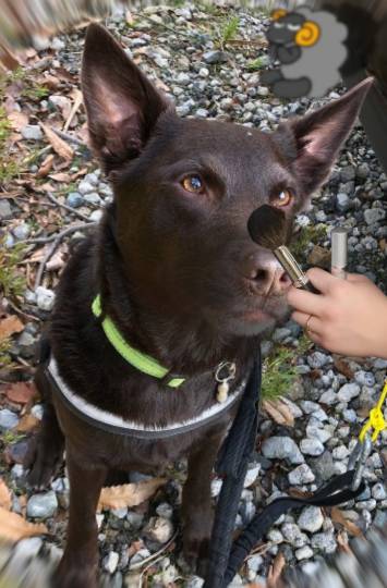 EGG'S CAFE 俺達かわいいコストコ通の寄生卵