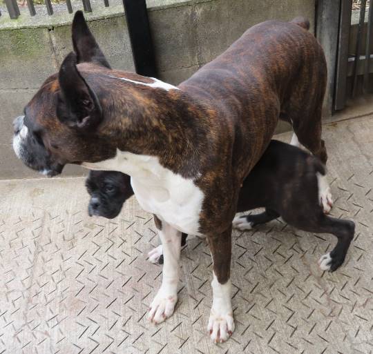 生き物ルーム第14