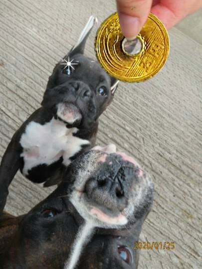 生き物ルーム第14