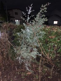 6月8日(土曜日)　かみのやま倉庫店