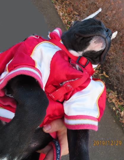 生き物ルーム第14