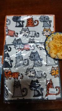 1月11日(土曜日)　つくば倉庫店｜10時30分くらい

フェイラーとい...