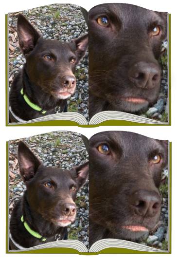 EGG'S CAFE 俺達かわいいコストコ通の寄生卵