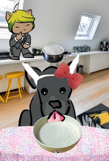 生き物ルーム第14