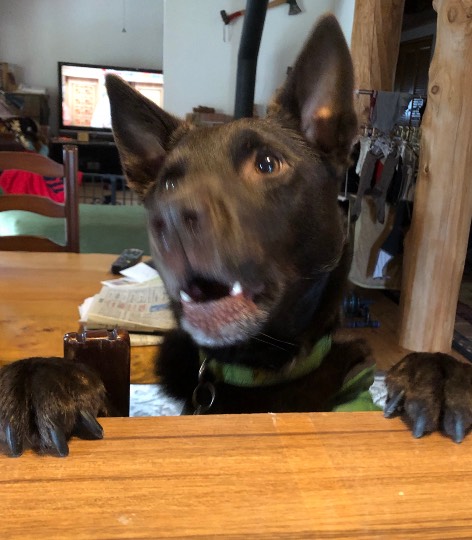 EGG&#039;S CAFE 　イイ子にしてたらプレゼントあるよな？