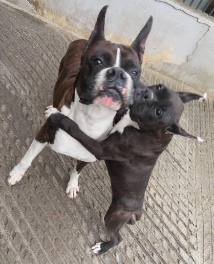 生き物ルーム第14