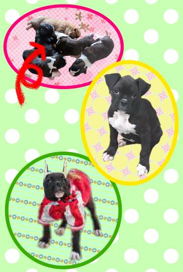 生き物ルーム第14