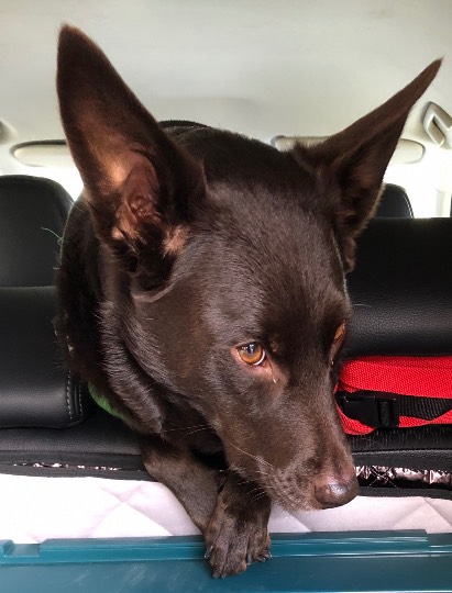 EGG&#039;S CAFE 　イイ子にしてたらプレゼントあるよな？