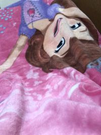 ディズニーの大判膝掛け、抱き枕復活してたよ