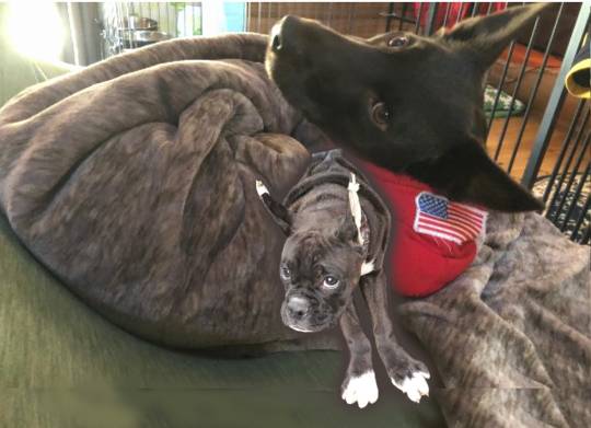 生き物ルーム第14