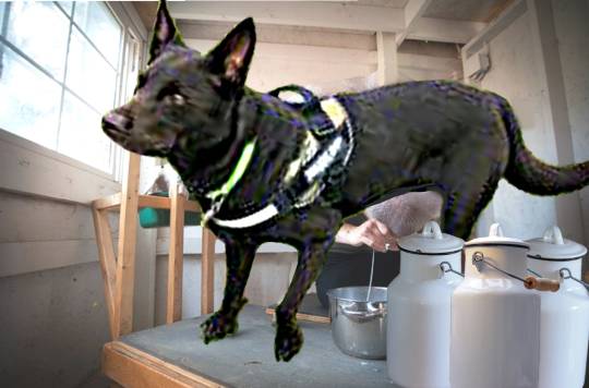 EGG&#039;S CAFE 　イイ子にしてたらプレゼントあるよな？