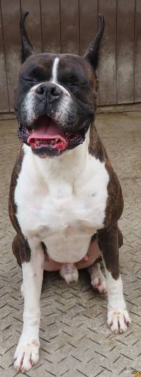 生き物ルーム第14