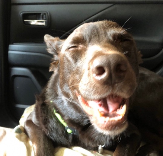 生き物ルーム第14