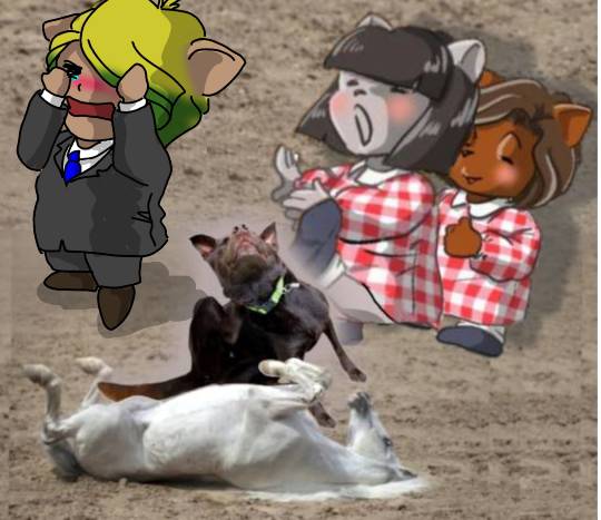 EGG'S CAFE 俺達かわいいコストコ通の寄生卵