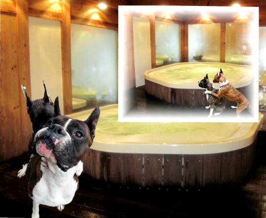 生き物ルーム第14