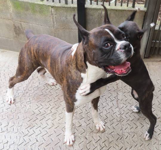 生き物ルーム第14