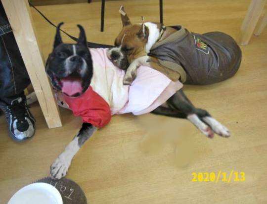 生き物ルーム第14