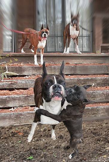 生き物ルーム第14