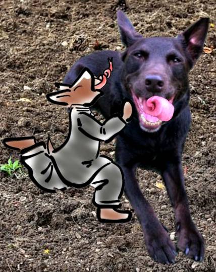 生き物ルーム第14