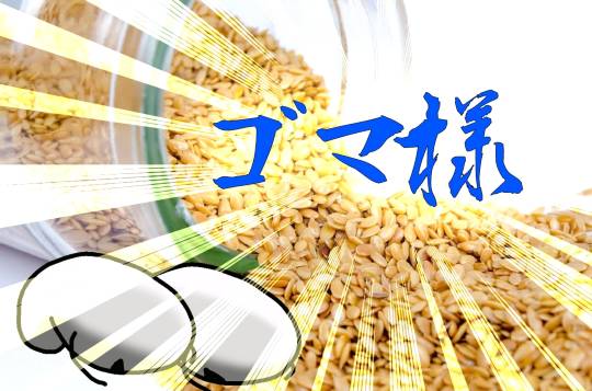 EGG&#039;S CAFE 　イイ子にしてたらプレゼントあるよな？