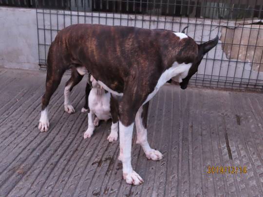 生き物ルーム第14