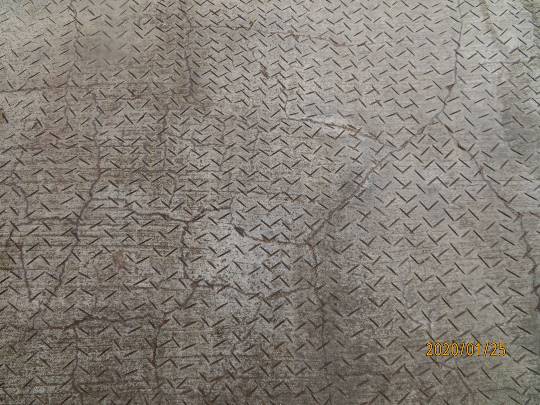 生き物ルーム第14