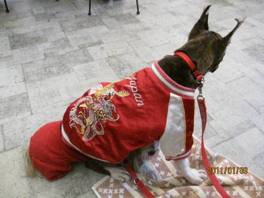 生き物ルーム第14