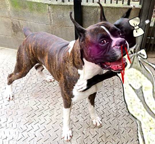 生き物ルーム第14