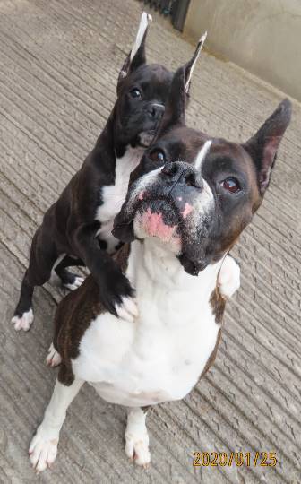 生き物ルーム第14