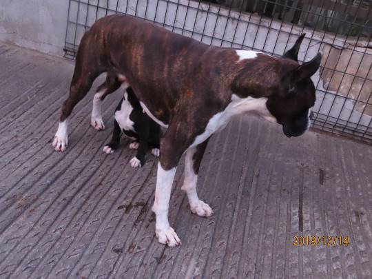 生き物ルーム第14