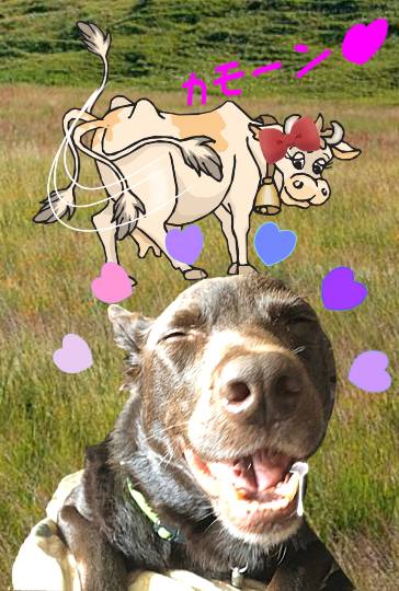 生き物ルーム第14