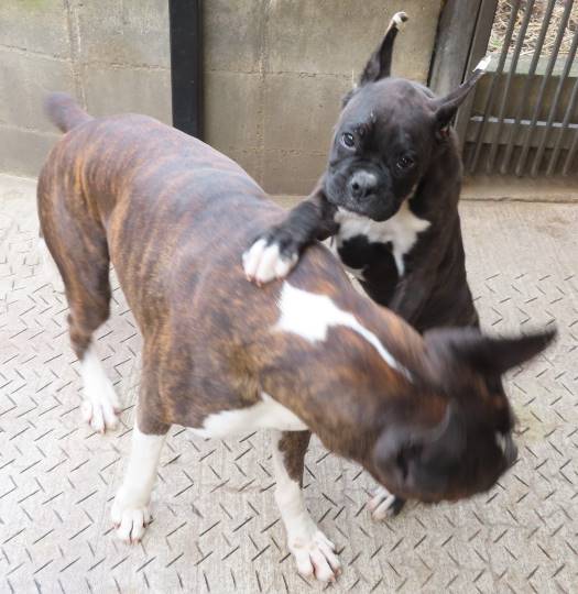 生き物ルーム第14