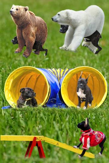 生き物ルーム第14