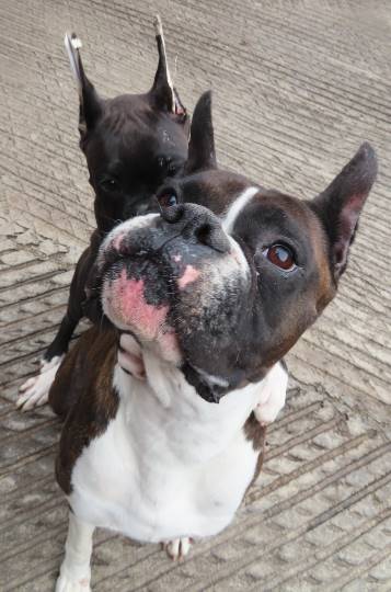 生き物ルーム第14