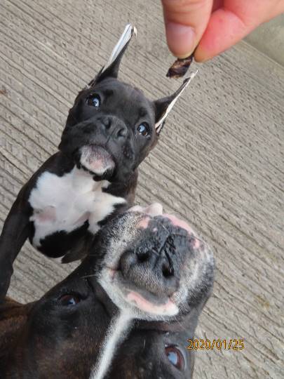 生き物ルーム第14