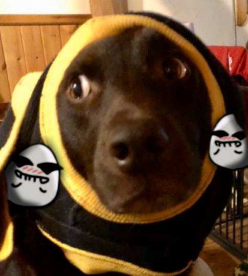 EGG&#039;S CAFE 　イイ子にしてたらプレゼントあるよな？