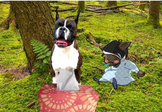 生き物ルーム第14