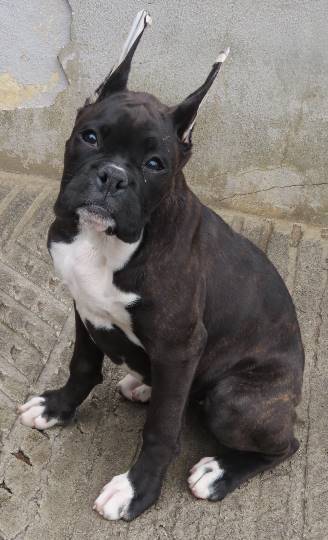 生き物ルーム第14