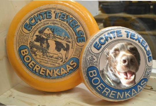 生き物ルーム第14