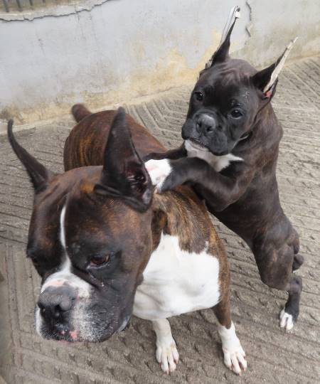 生き物ルーム第14